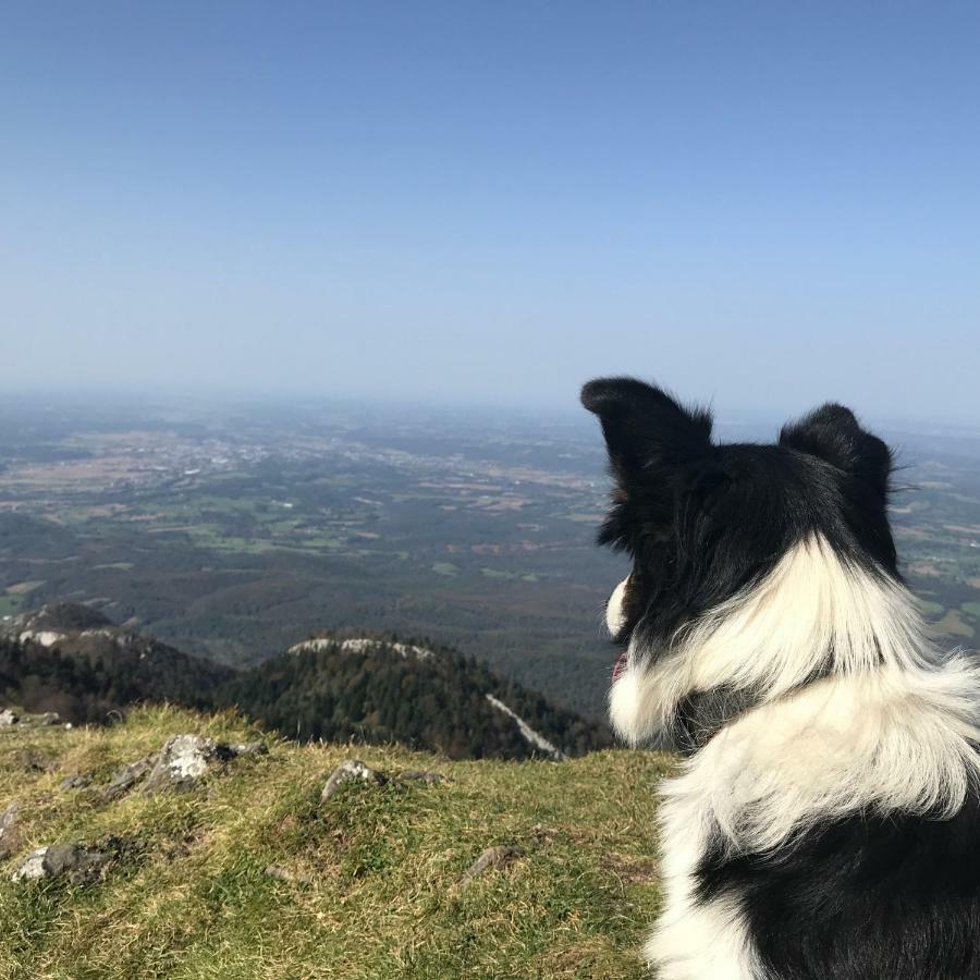 Gite Cap De La Hont Laruns Buitenkant foto